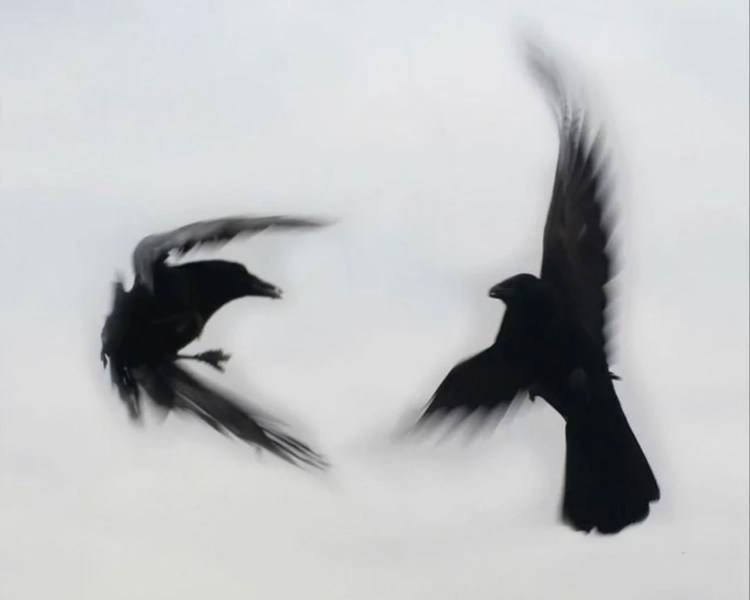 艺人背景图