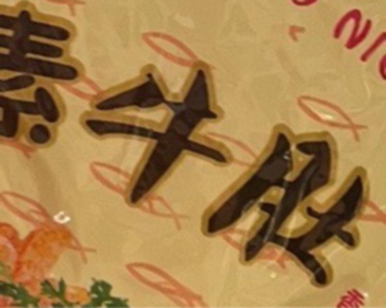 艺人背景图