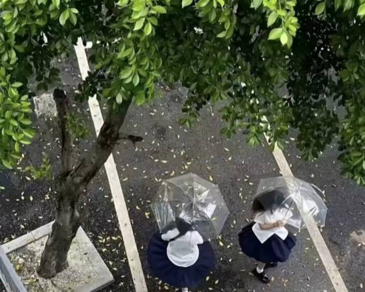 艺人背景图