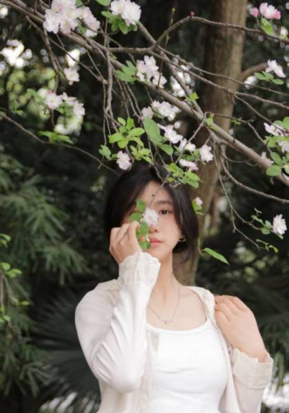 推荐艺人