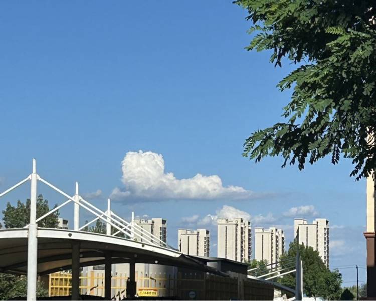 艺人背景图