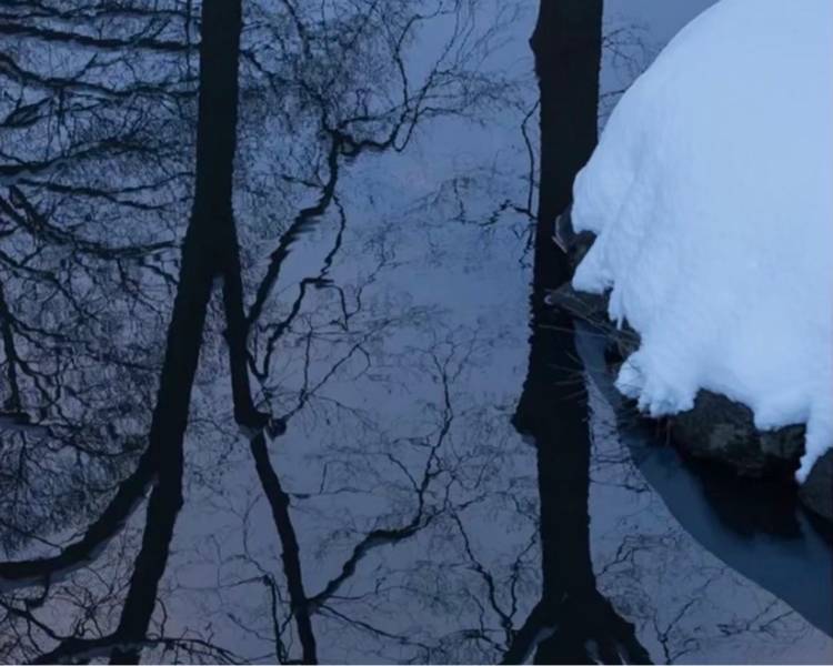 艺人背景图