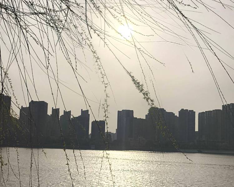艺人背景图