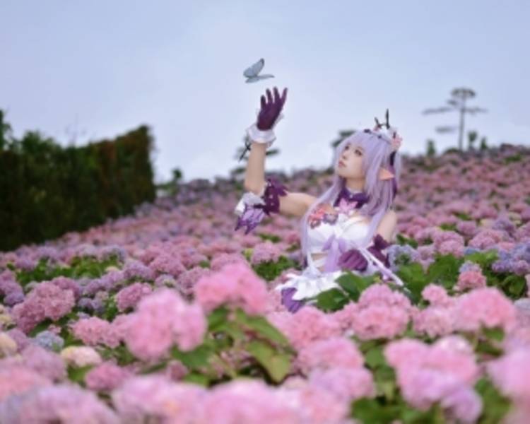 艺人背景图