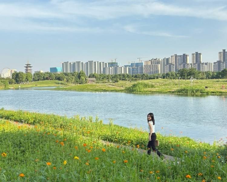 艺人背景图