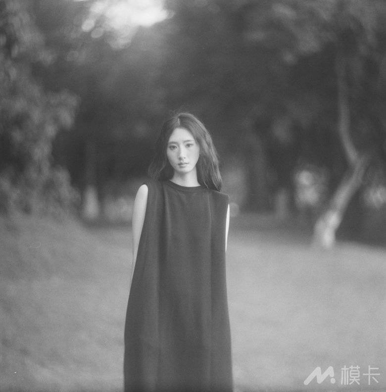 作品图片