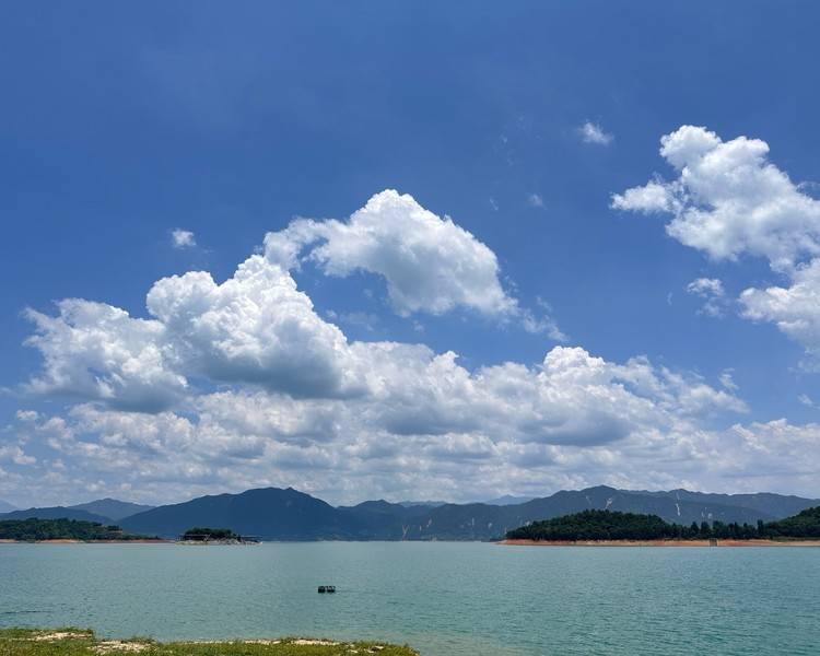 艺人背景图