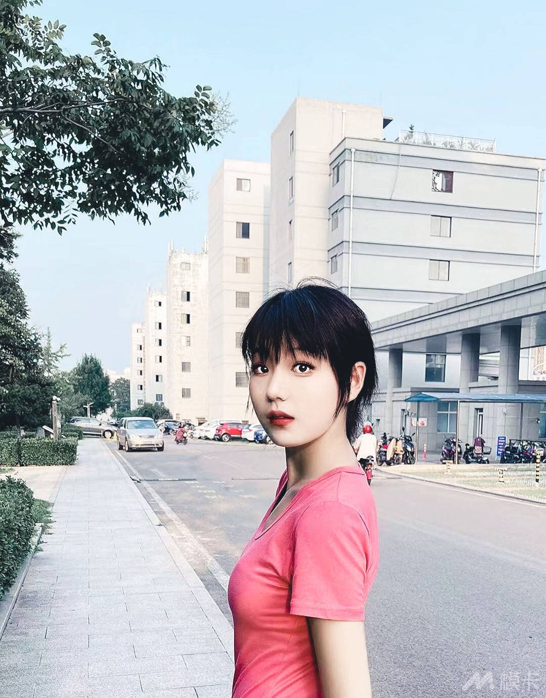 作品图片