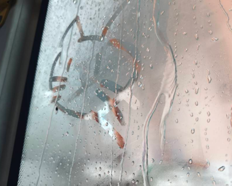 艺人背景图