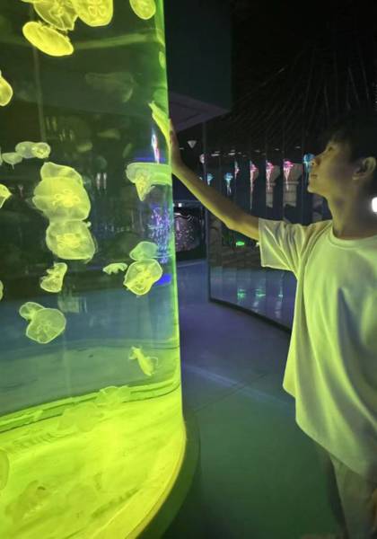 形象照片
