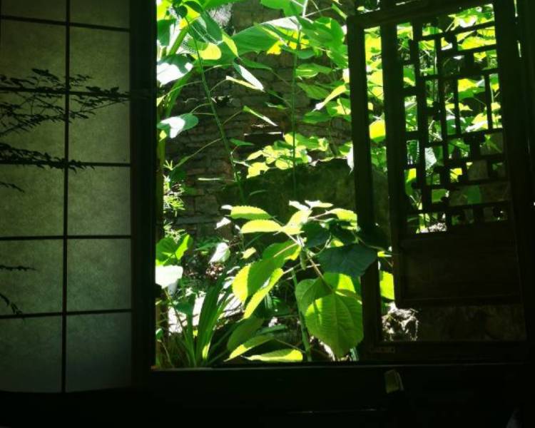 艺人背景图