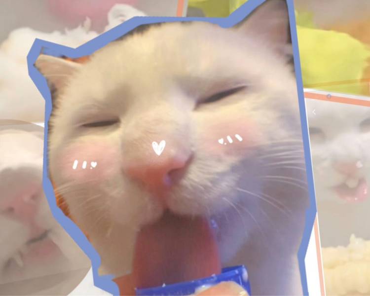 艺人背景图