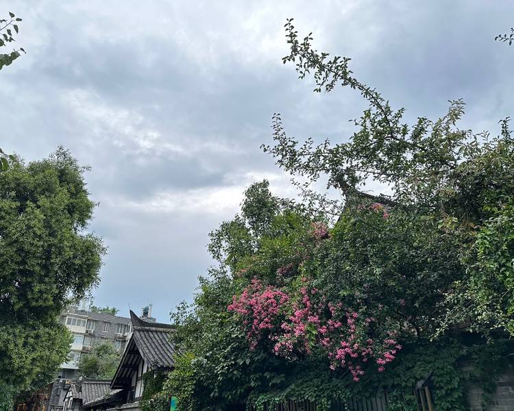 艺人背景图