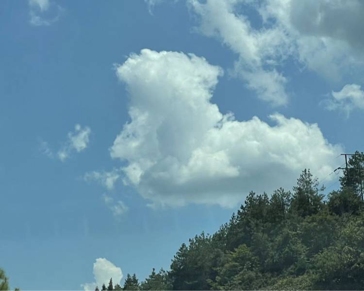 艺人背景图