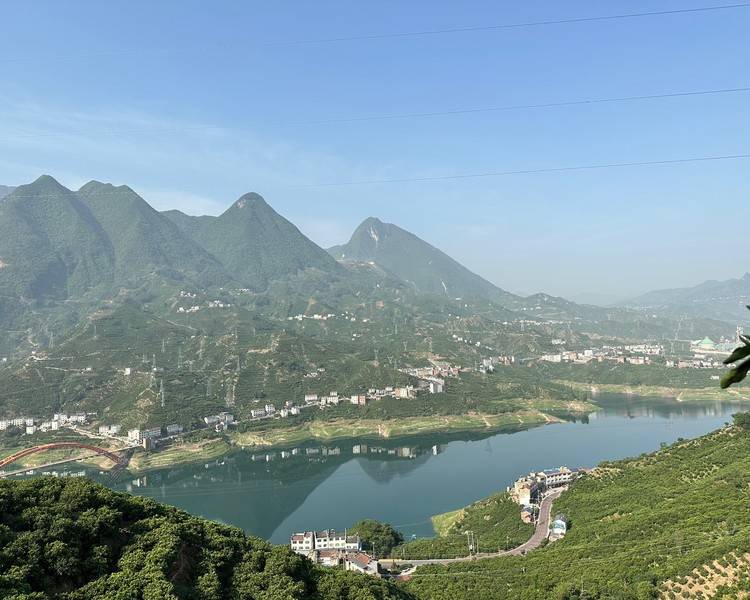 艺人背景图