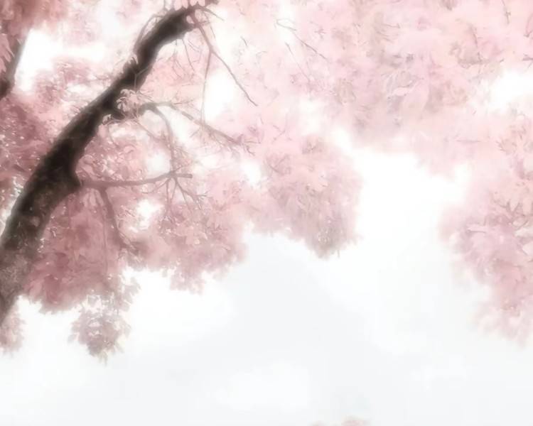 艺人背景图