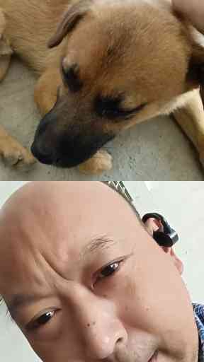 推荐作品