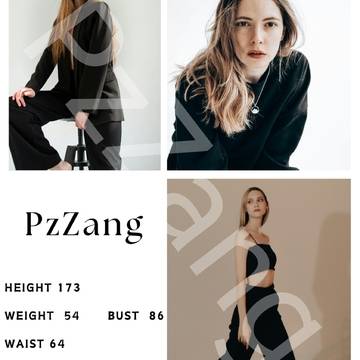 PzZang的微模卡作品