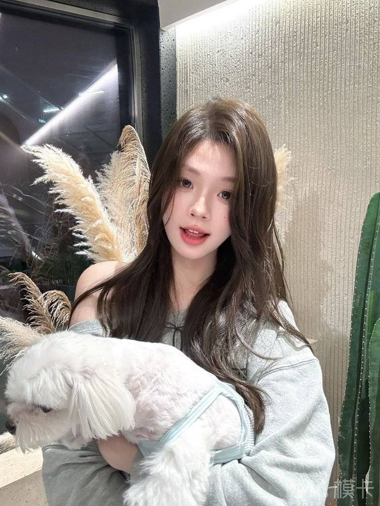 通告图片