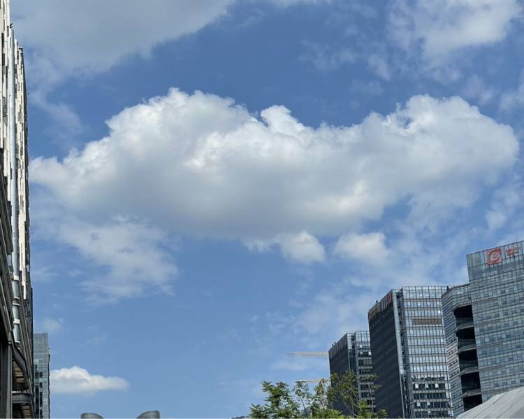 艺人背景图