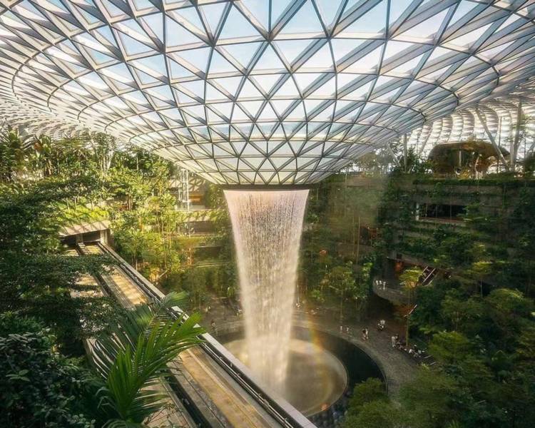 艺人背景图