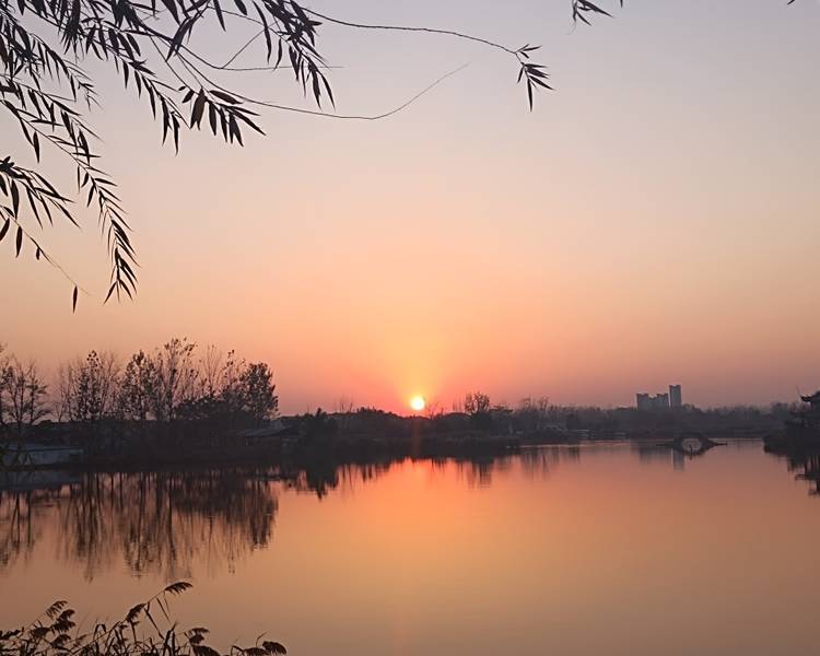 艺人背景图