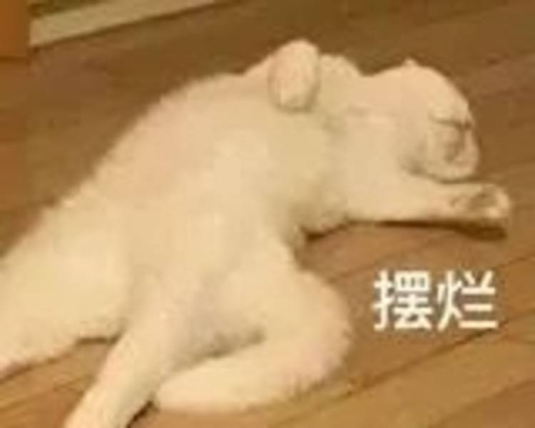 艺人背景图