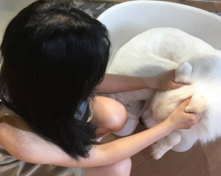 艺人背景图