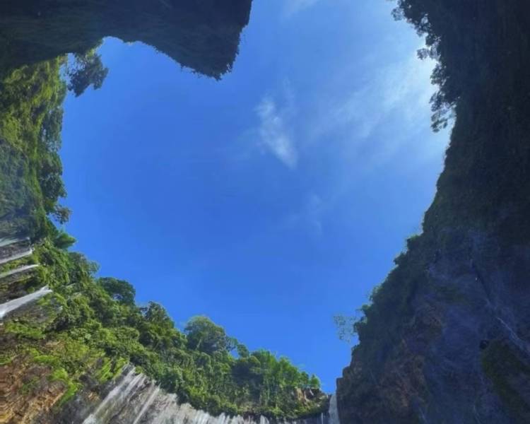 艺人背景图