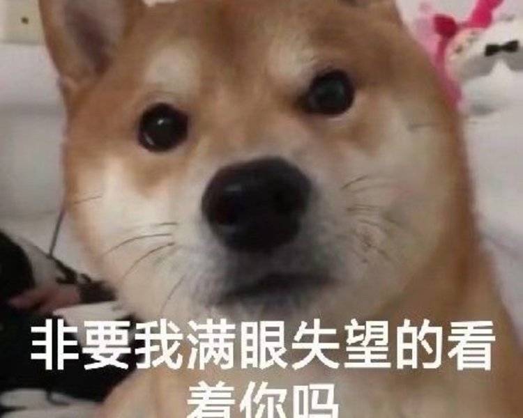 艺人背景图