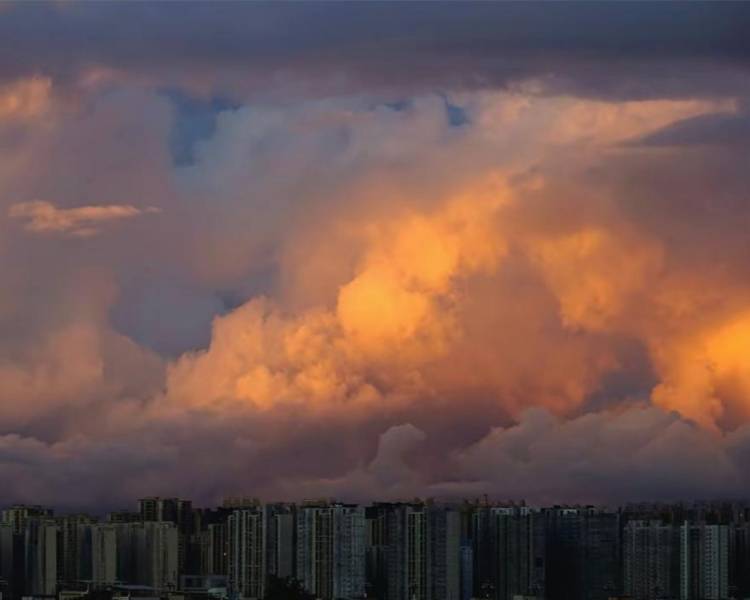 艺人背景图