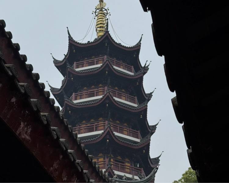 艺人背景图