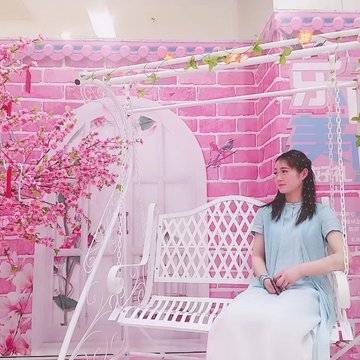 经历图片