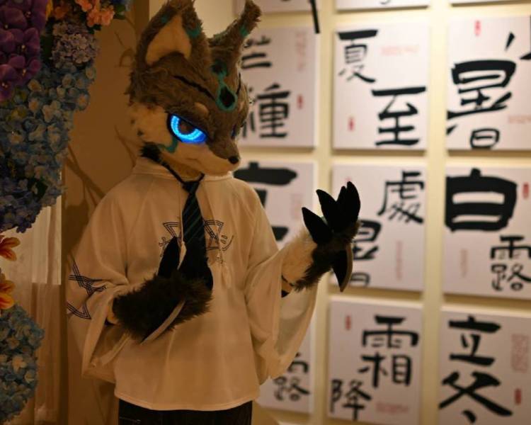 艺人背景图