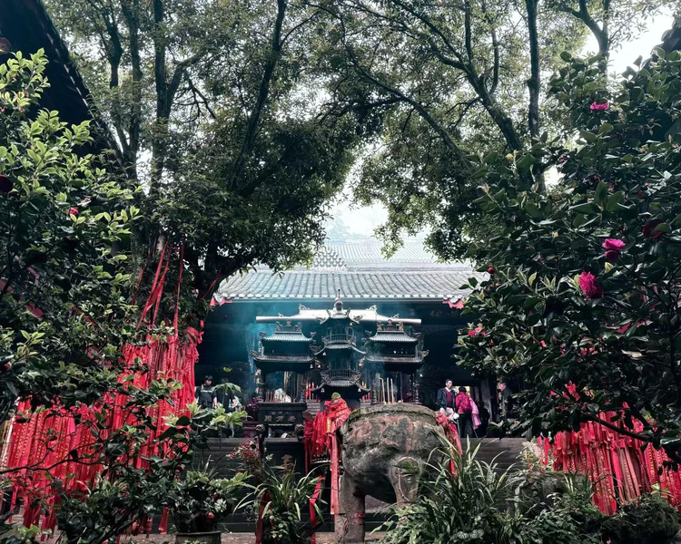 艺人背景图