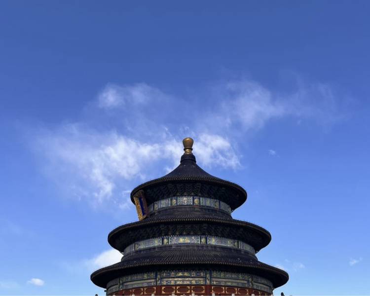 艺人背景图