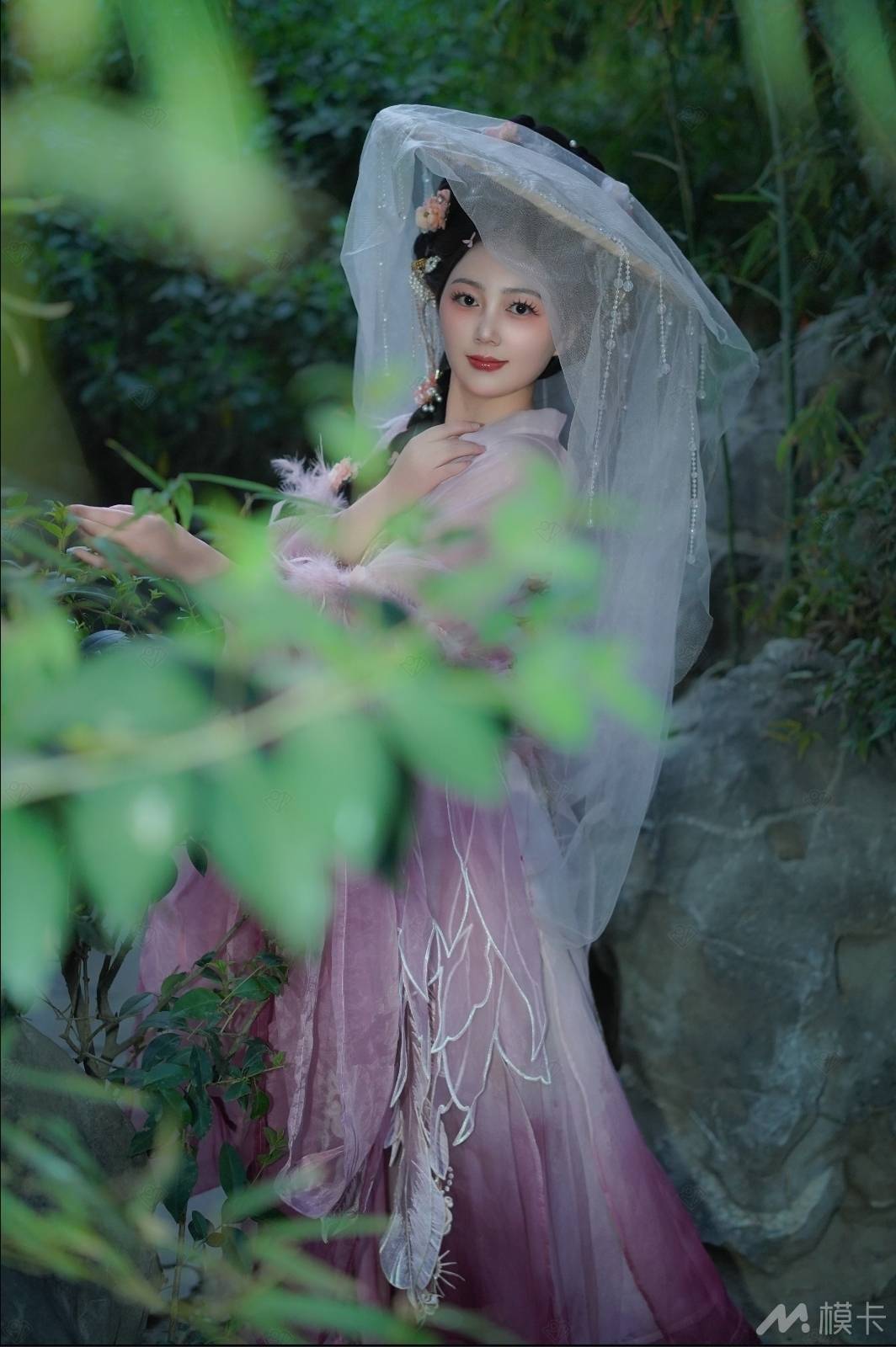 作品图片