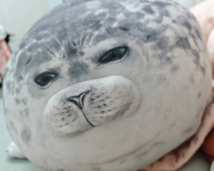 艺人背景图