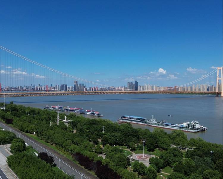 艺人背景图