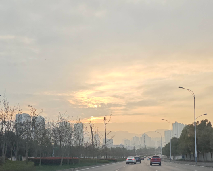 艺人背景图