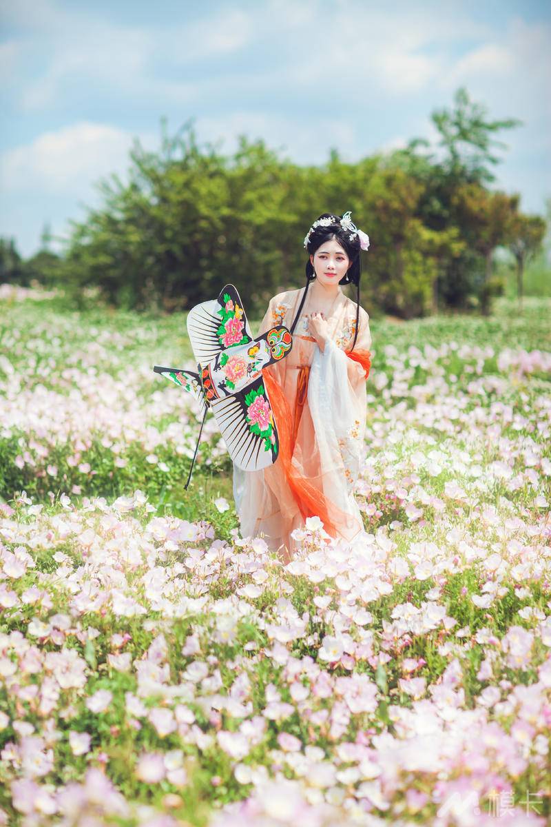 通告图片