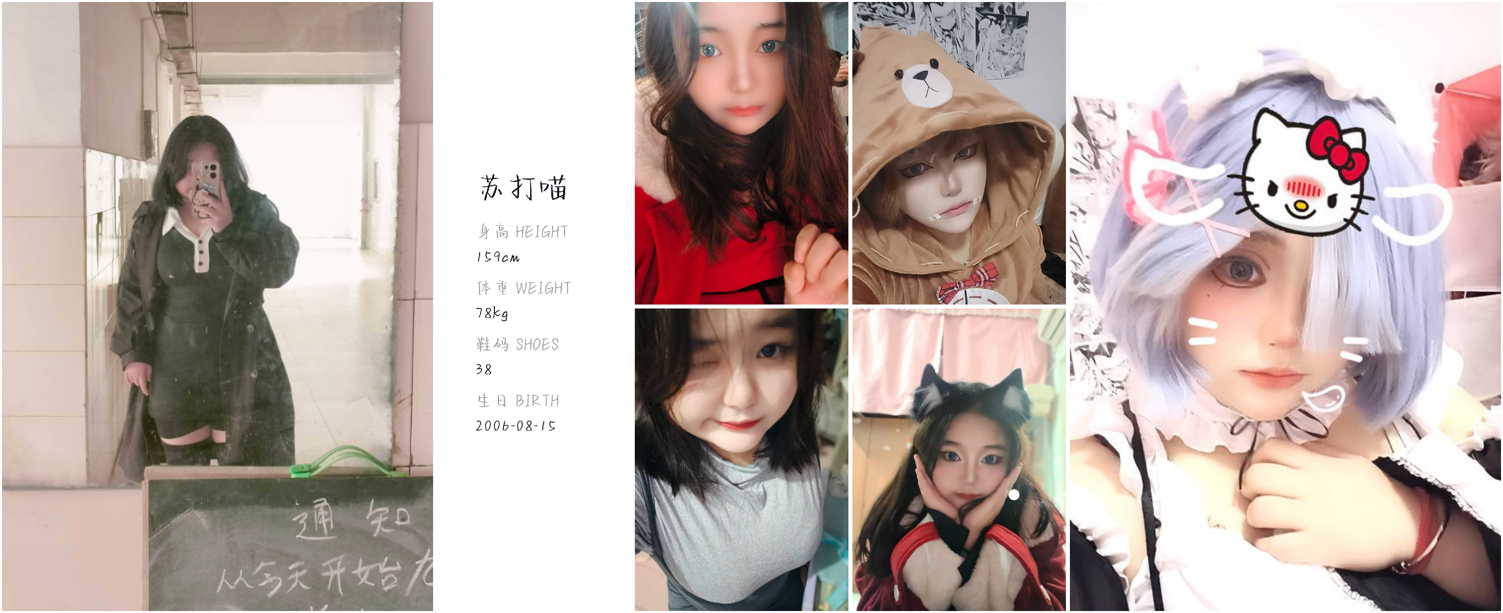 模卡