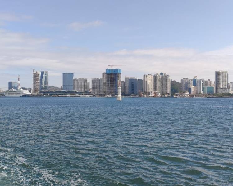 艺人背景图