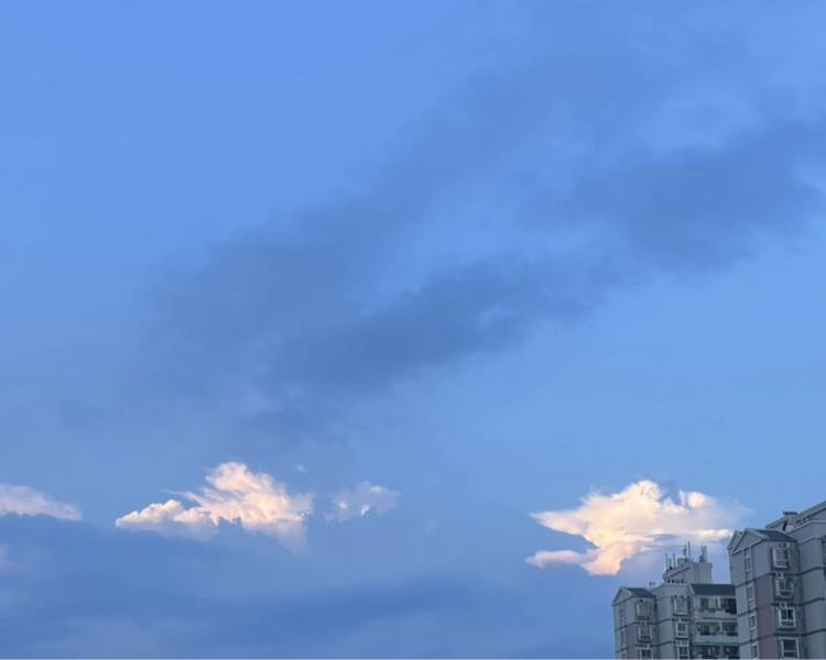 艺人背景图