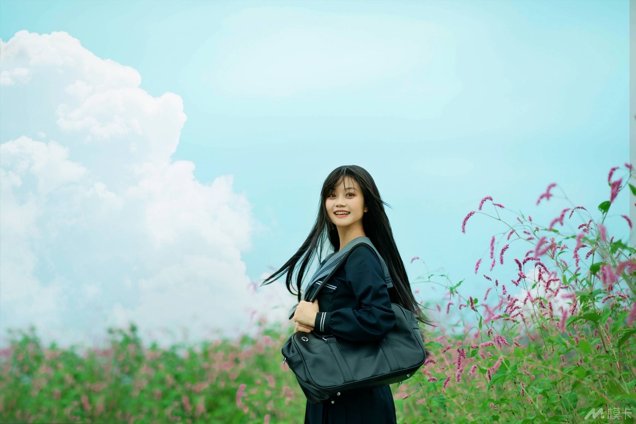 作品图片