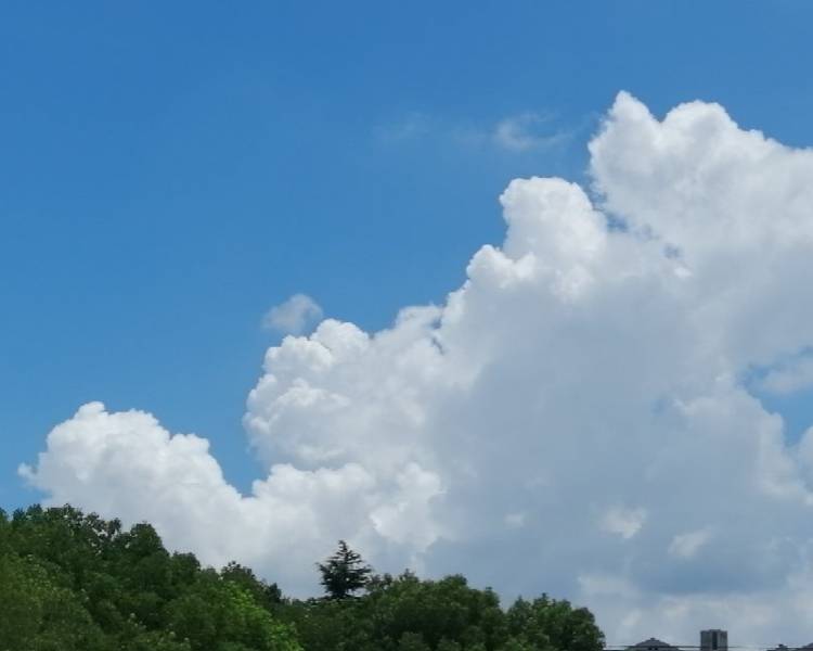 艺人背景图