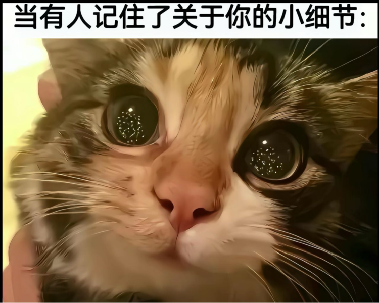 艺人背景图