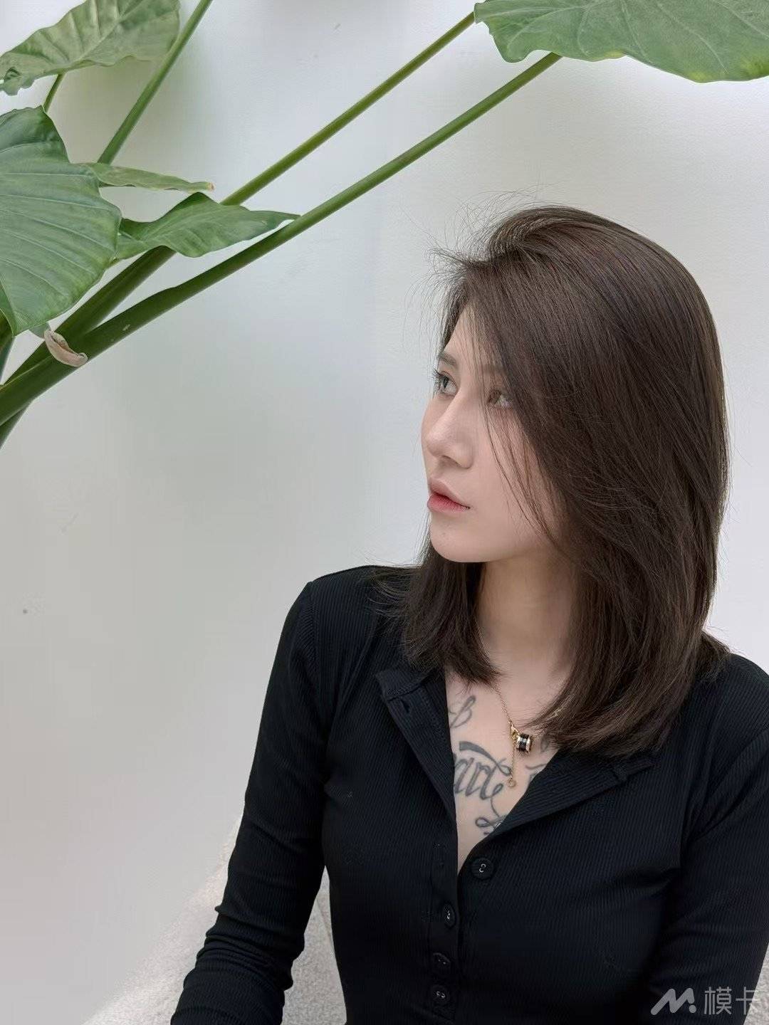 通告图片