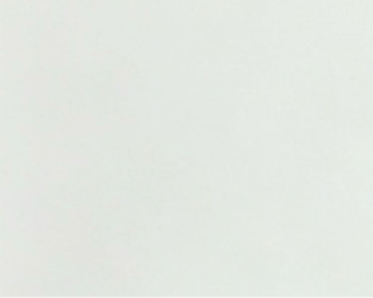 艺人背景图