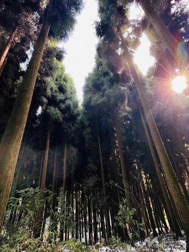通告图片